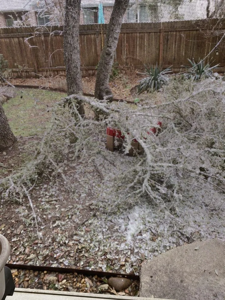 Custom yard cleanup service in Austin, TX by Top Choice Lawn Care