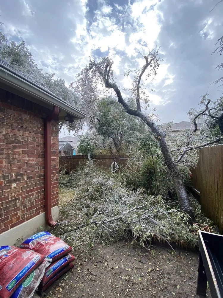 Professional landscape design in Austin, TX - Top Choice Lawn Care