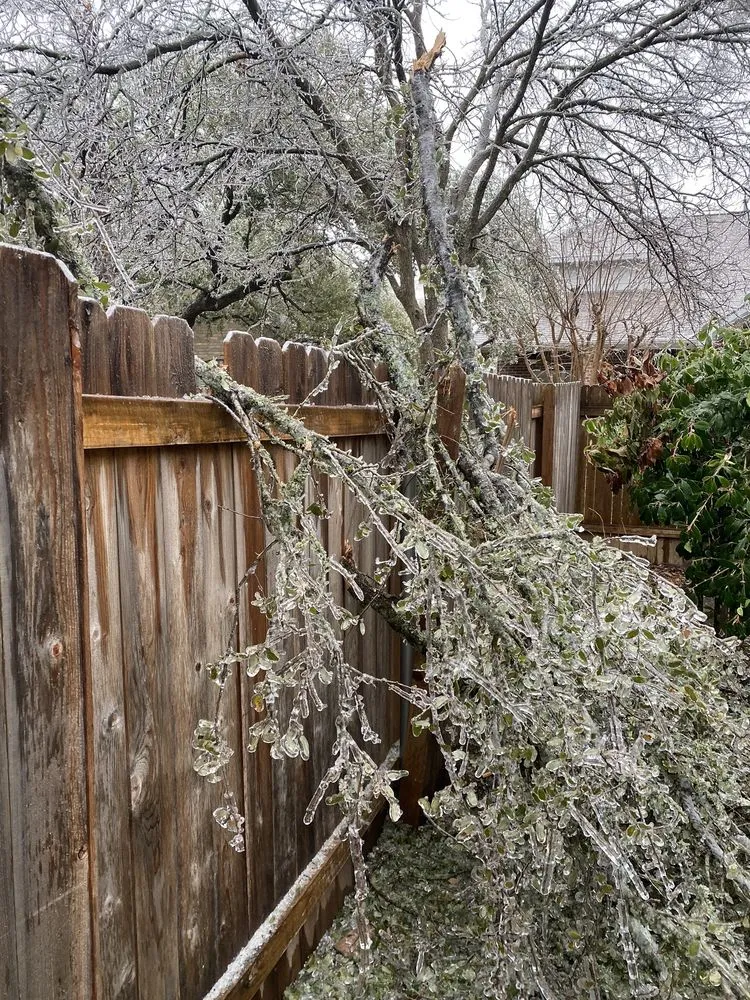 Trusted residential landscaping with custom design across Austin, TX - Top Choice Lawn Care