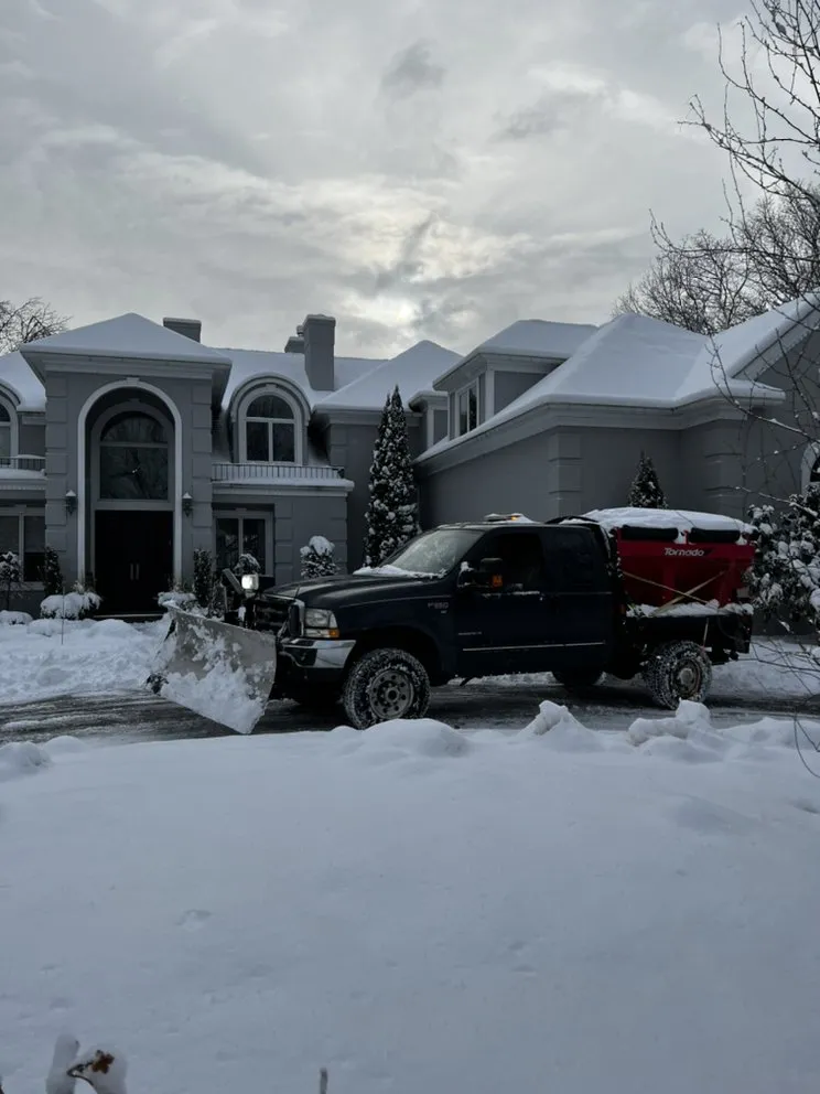 Top-rated yard cleanup service experts serving Stamford, CT - Top Choice Lawn Care