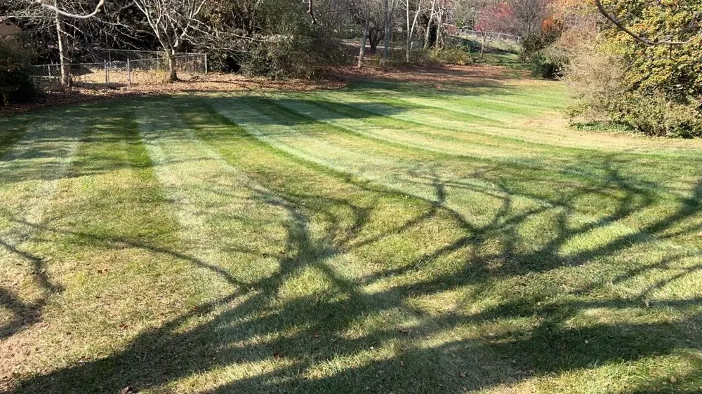 Affordable outdoor landscaping in Christiansburg, VA by Top Class Grass