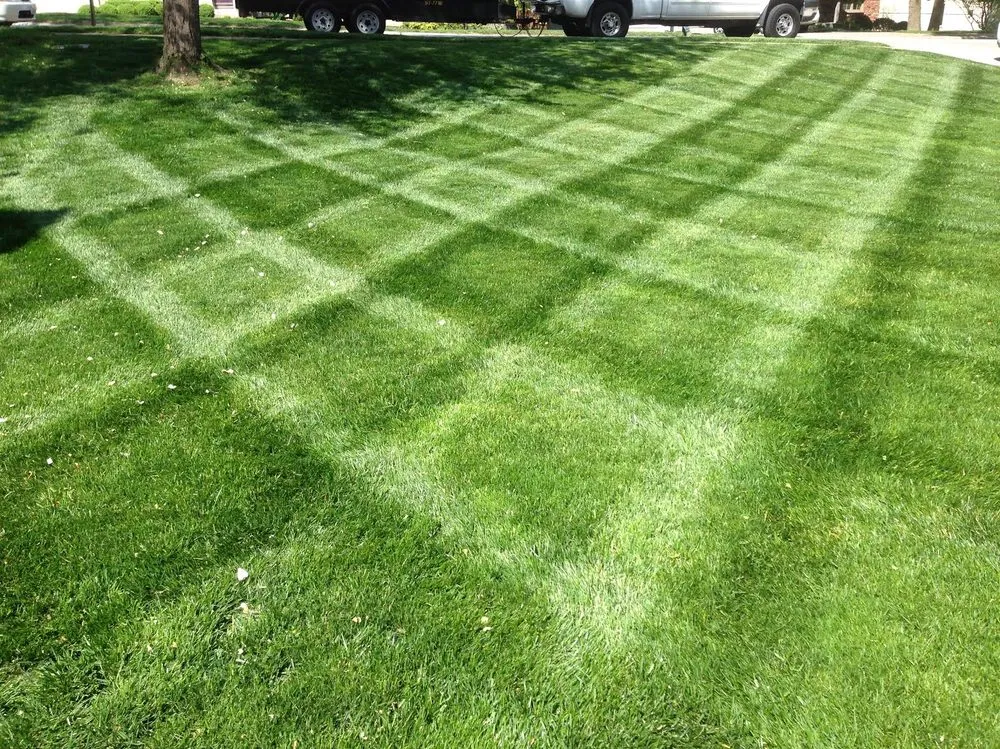 Affordable yard cleanup service with custom design in Kansas City, MO by Top Class Lawn Care