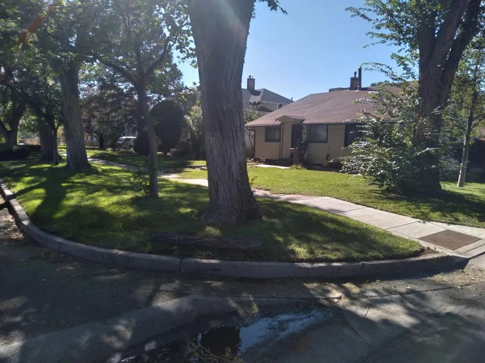 Expert garden landscaping in Delta, CO by Top Cut Lawn Care