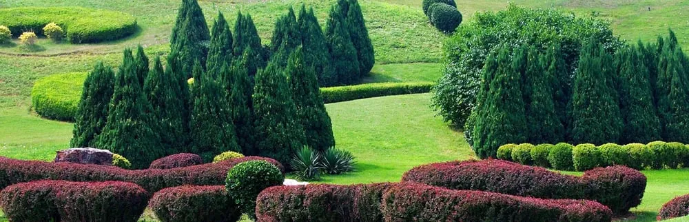 Professional lawn care service in Delafield, WI - Top Cut Lawn Care Service