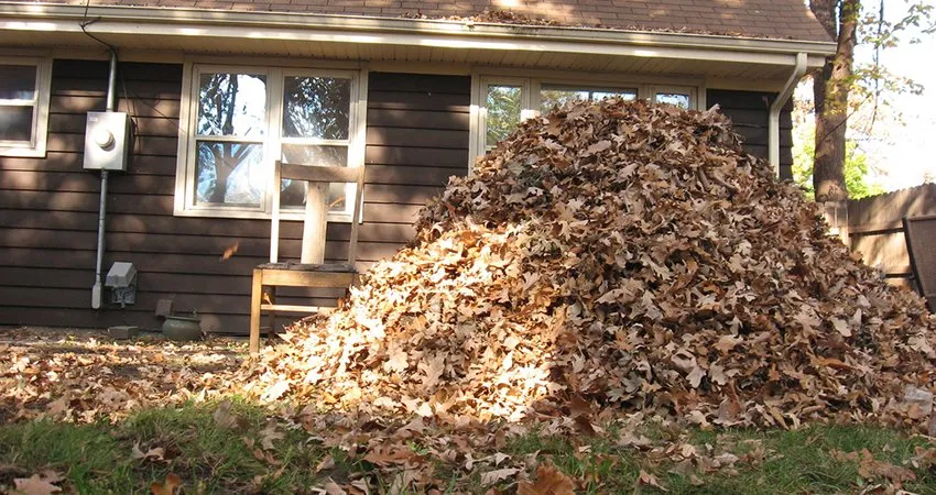 Local yard cleanup service for outdoor upgrades across Youngstown, OH - Top Cut Lawn Care