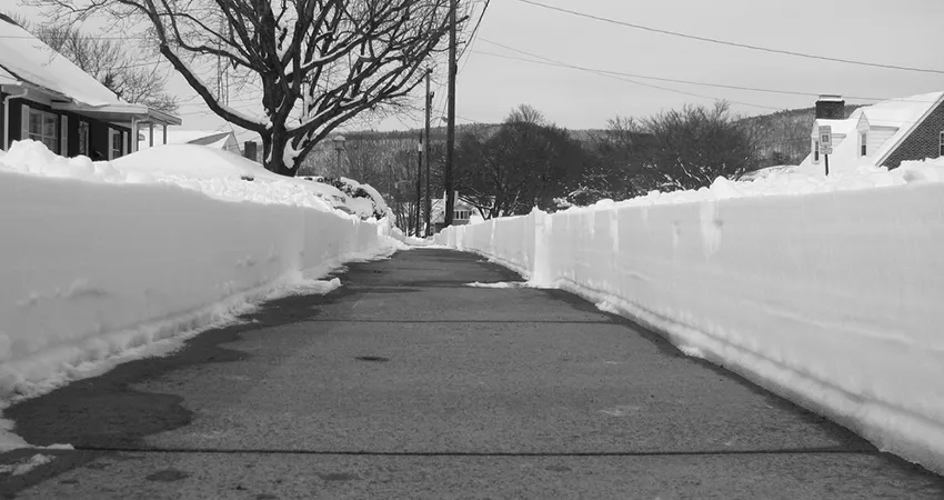 Affordable yard cleanup service for year-round maintenance in Youngstown, OH by Top Cut Lawn Care