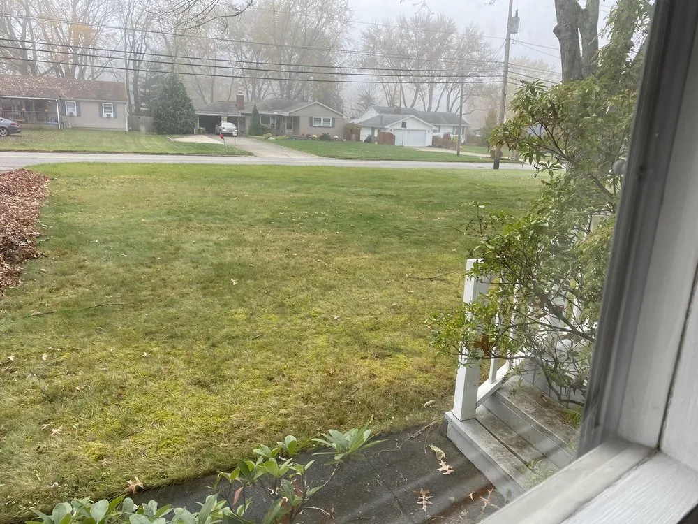 Professional yard cleanup service for residential properties in Youngstown, OH by Top Cut Lawn Care