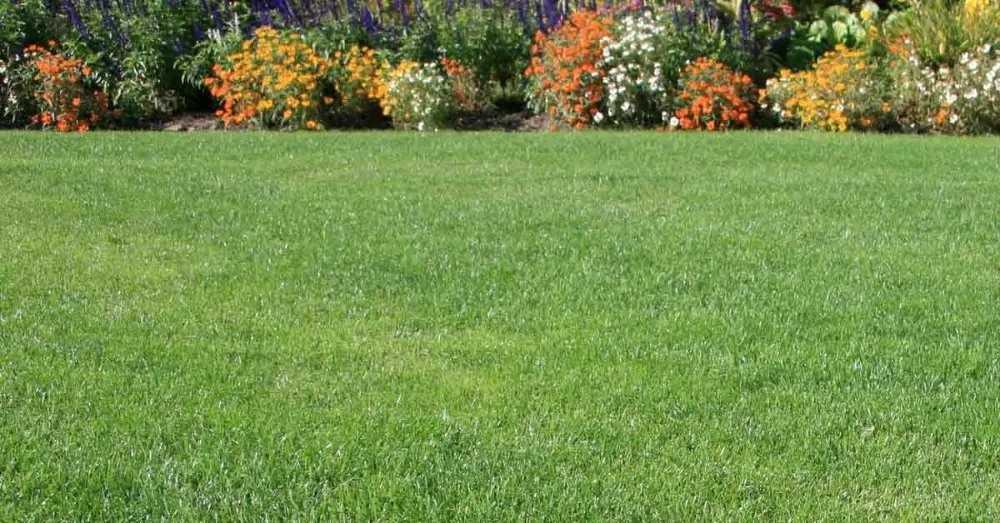Professional yard cleanup service experts serving Junction City, OH - Top cut lawn mowing
