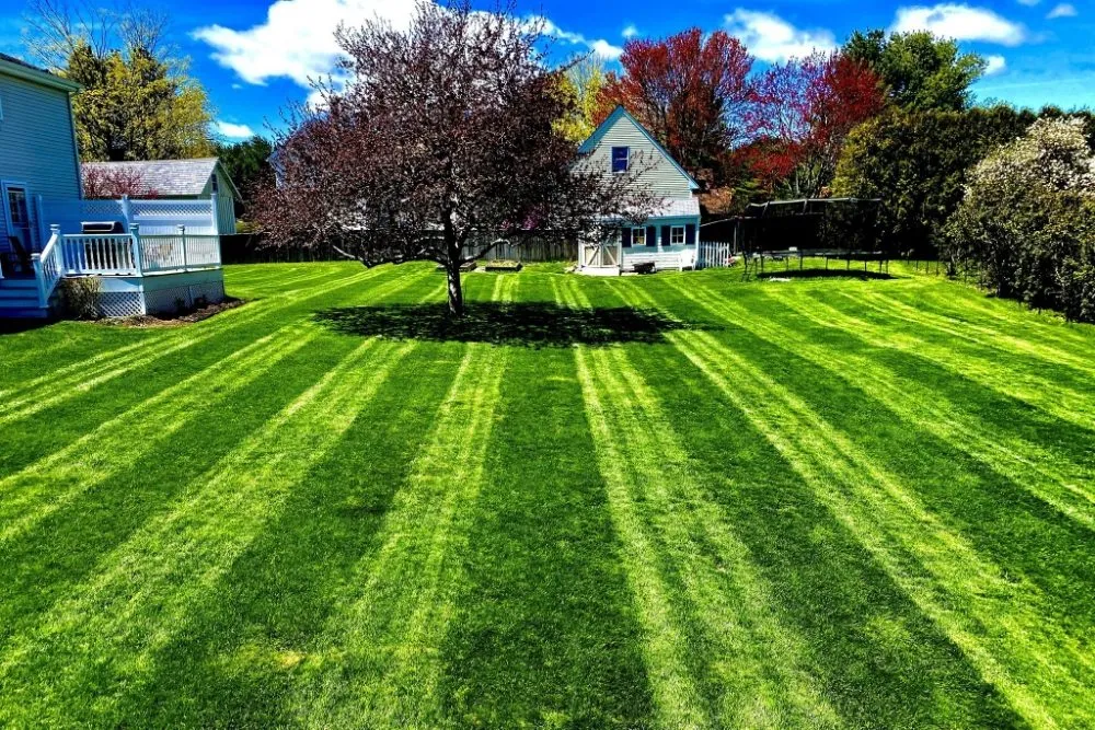 Expert garden landscaping for beautiful yards across Junction City, OH - Top cut lawn mowing