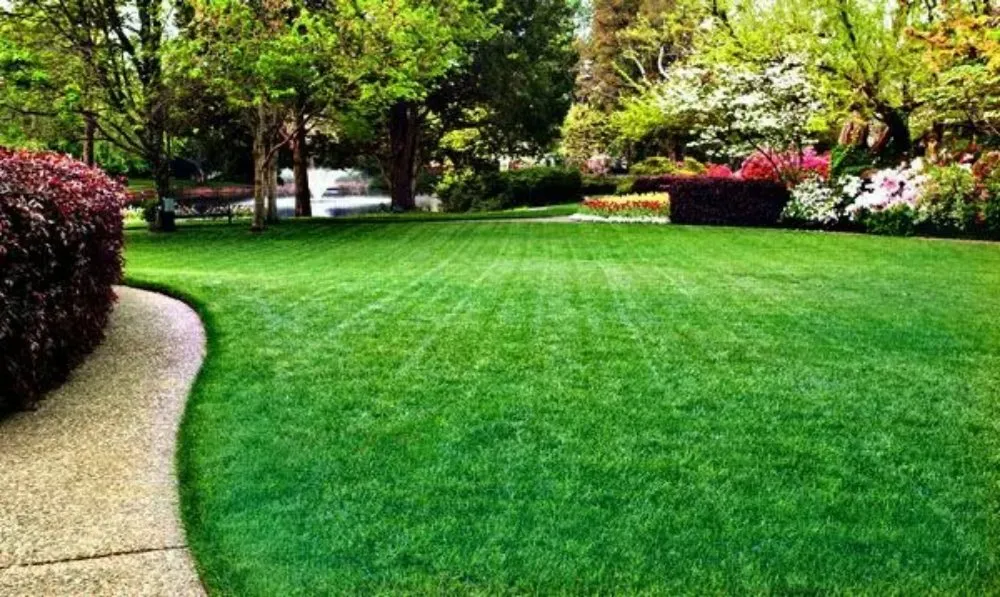 Trusted yard maintenance with custom design in Junction City, OH by Top cut lawn mowing