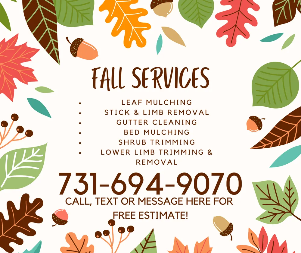 Professional outdoor landscaping near you across Alamo, TN - Top Cut Lawn Service