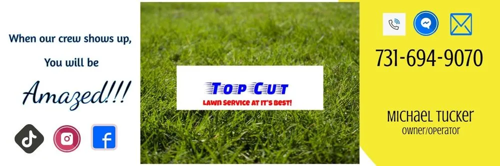 Custom landscape installation for outdoor upgrades in Alamo, TN by Top Cut Lawn Service