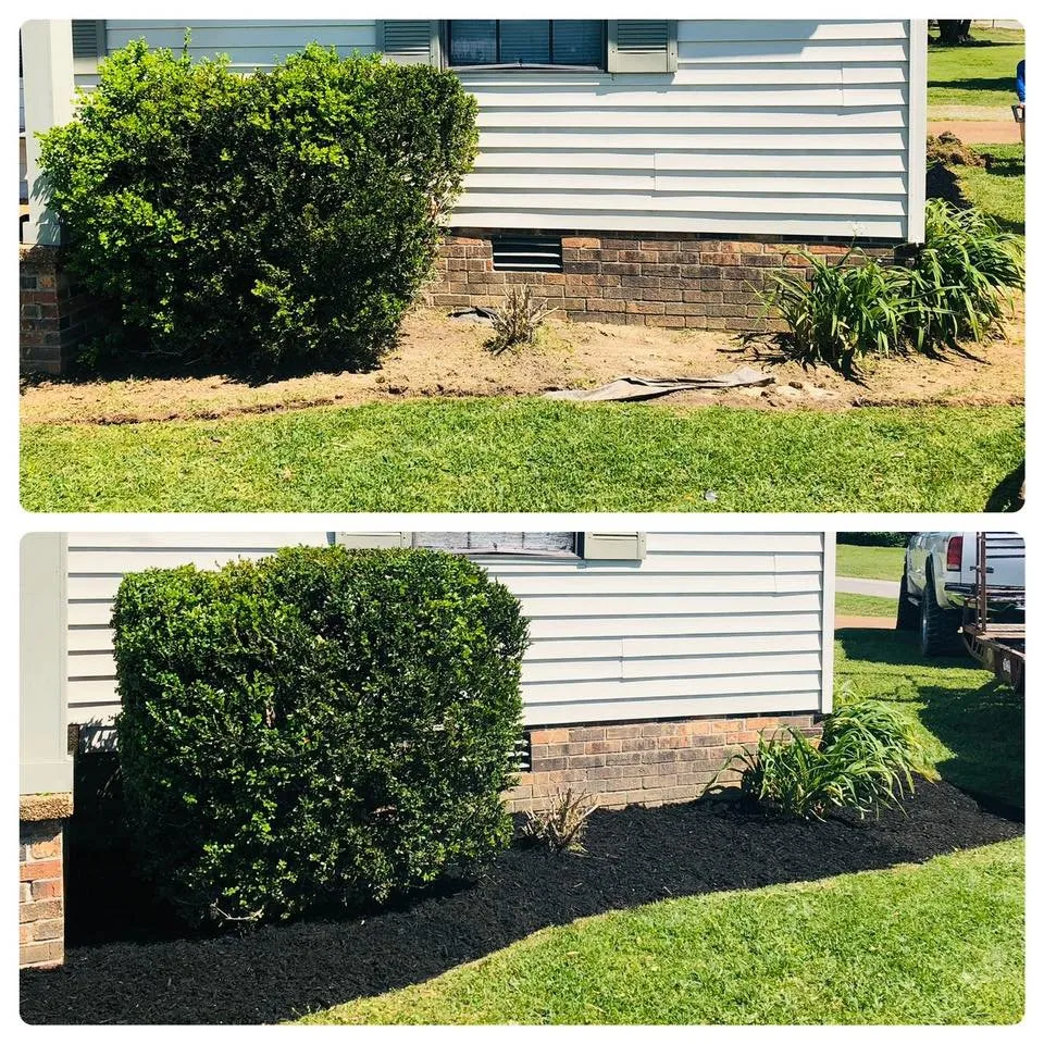 Top-rated outdoor landscaping in Alamo, TN - Top Cut Lawn Service