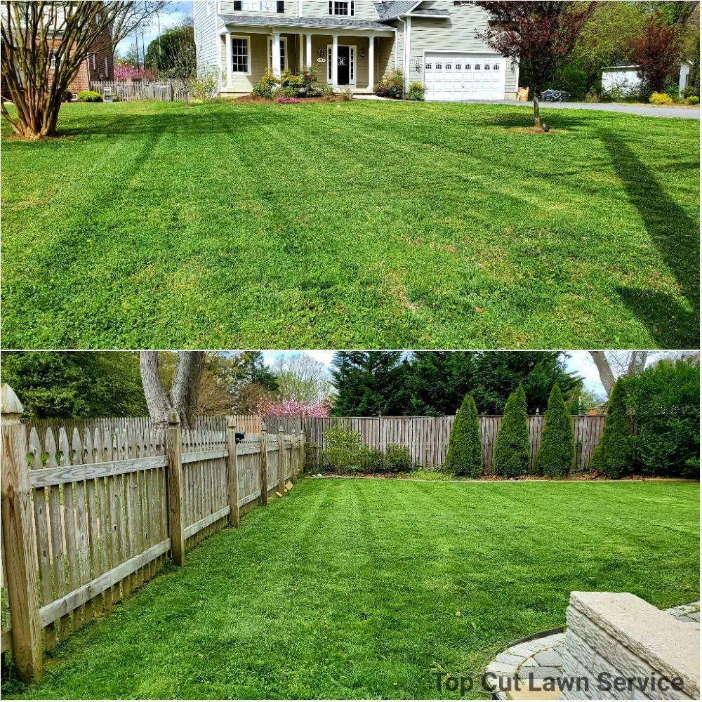 Affordable landscaping services in Annapolis, MD - Top Cut Lawn Service