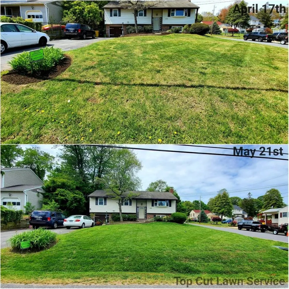 Trusted landscape installation in Annapolis, MD by Top Cut Lawn Service