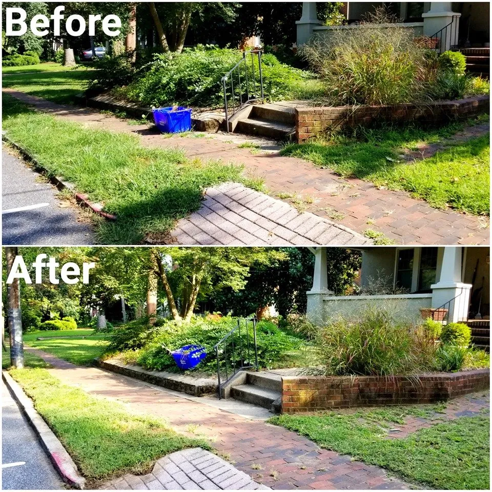 Reliable yard maintenance experts serving Annapolis, MD - Top Cut Lawn Service