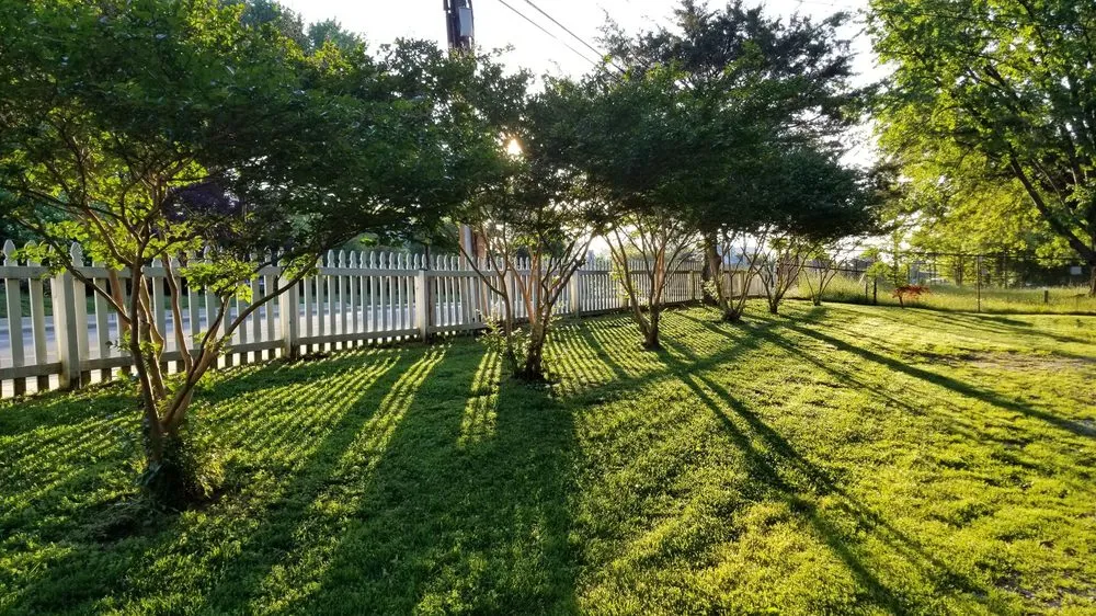 Custom yard maintenance for year-round maintenance across Annapolis, MD - Top Cut Lawn Service