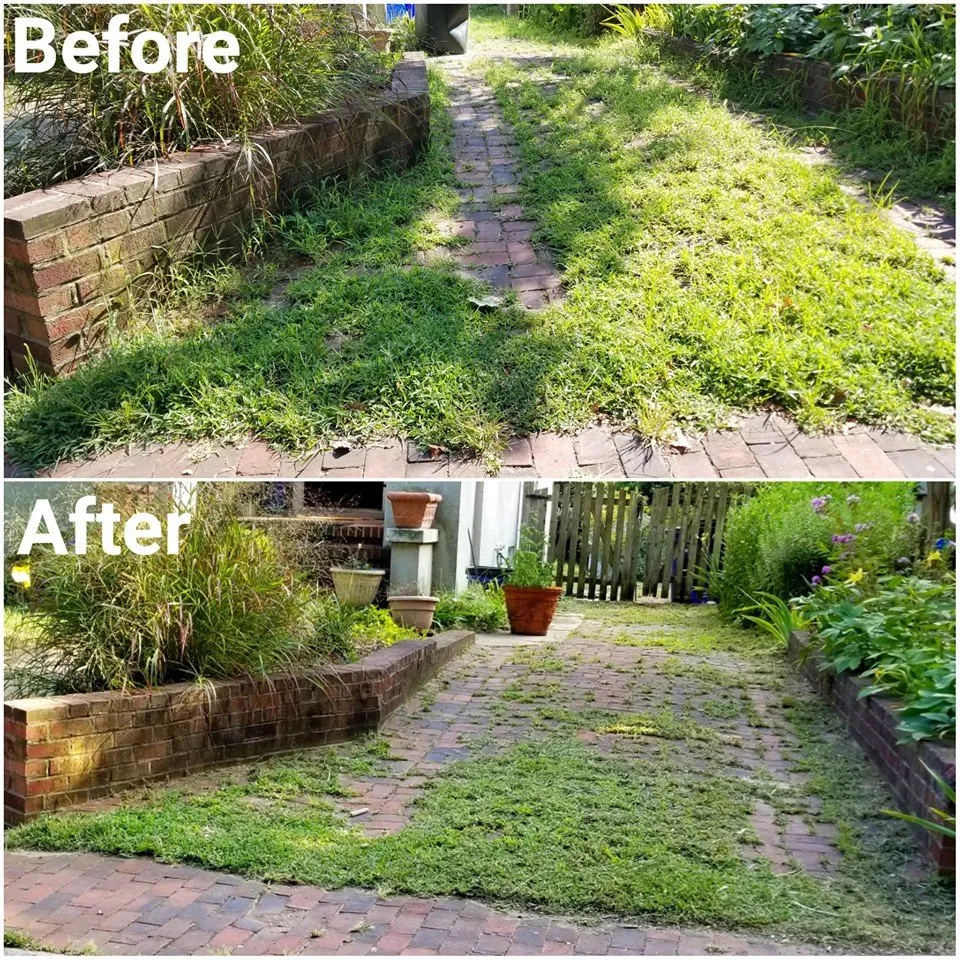 Local residential landscaping with custom design in Annapolis, MD by Top Cut Lawn Service