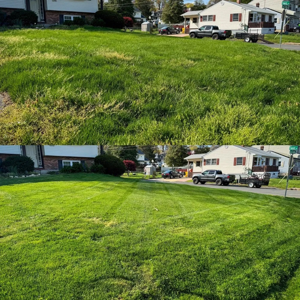 Expert yard cleanup service for year-round maintenance across Annapolis, MD - Top Cut Lawn Service