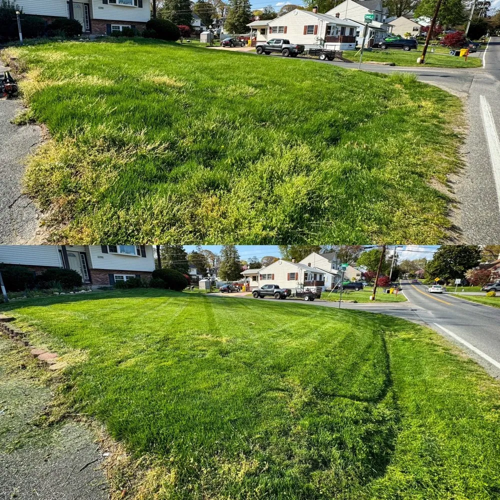 Custom yard cleanup service for beautiful yards in Annapolis, MD by Top Cut Lawn Service