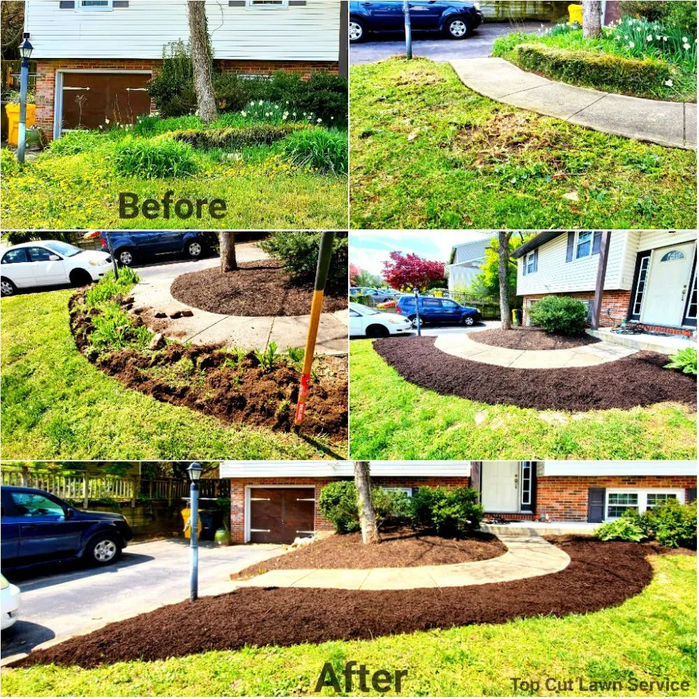 Trusted yard maintenance near you across Annapolis, MD - Top Cut Lawn Service