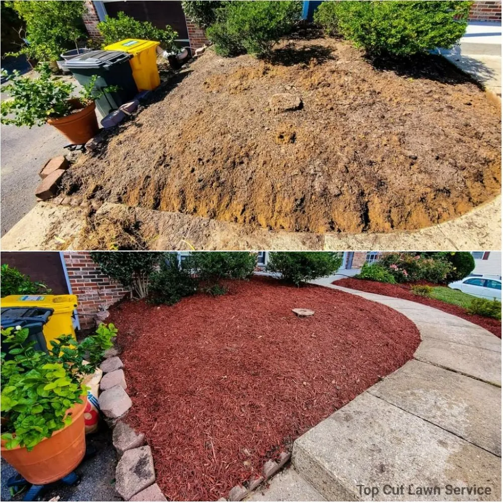 Top-rated yard cleanup service in Annapolis, MD by Top Cut Lawn Service