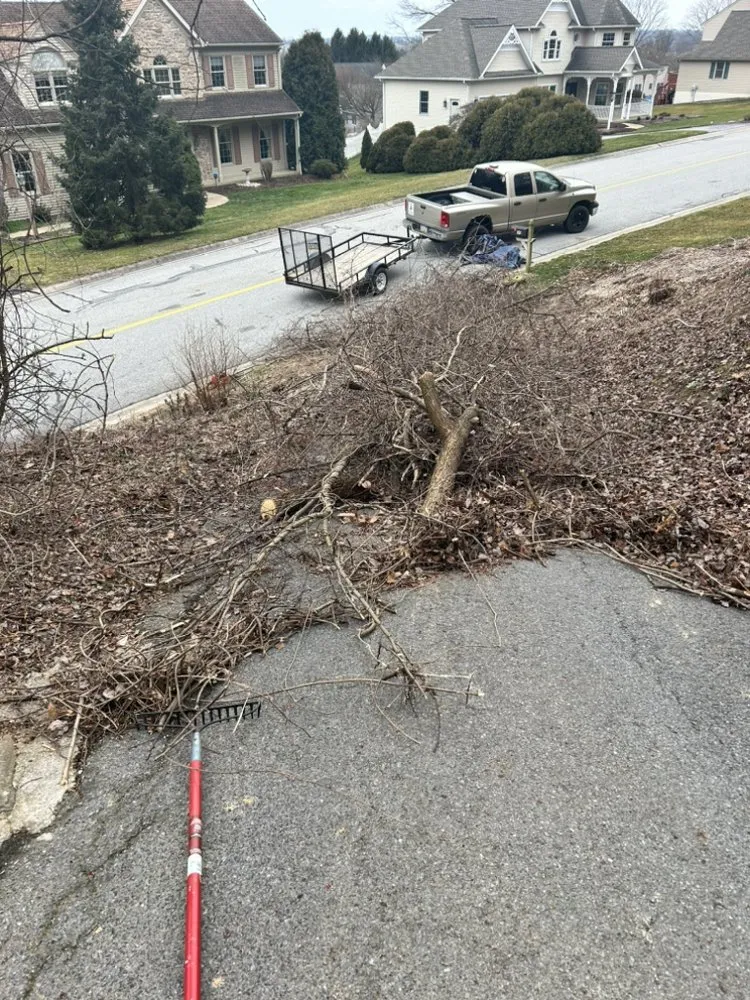 Custom residential landscaping in Chester, PA by Top Cut Lawn Service