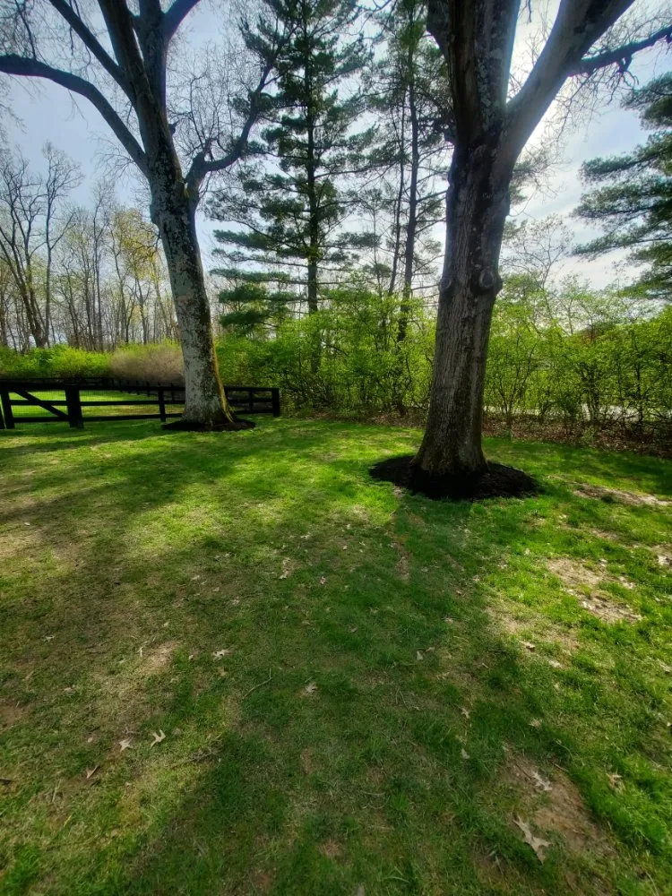 Custom landscape design in Hillsboro, OH by Top Cut Lawncare and Landscaping