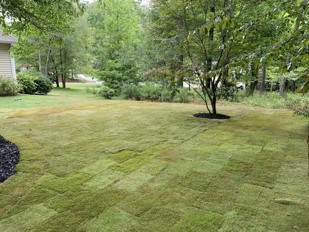 Professional lawn care service near you across Temple, GA - Top Cut Properties