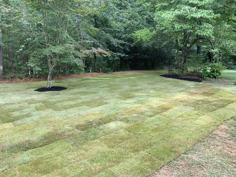 Affordable yard cleanup service experts serving Temple, GA - Top Cut Properties