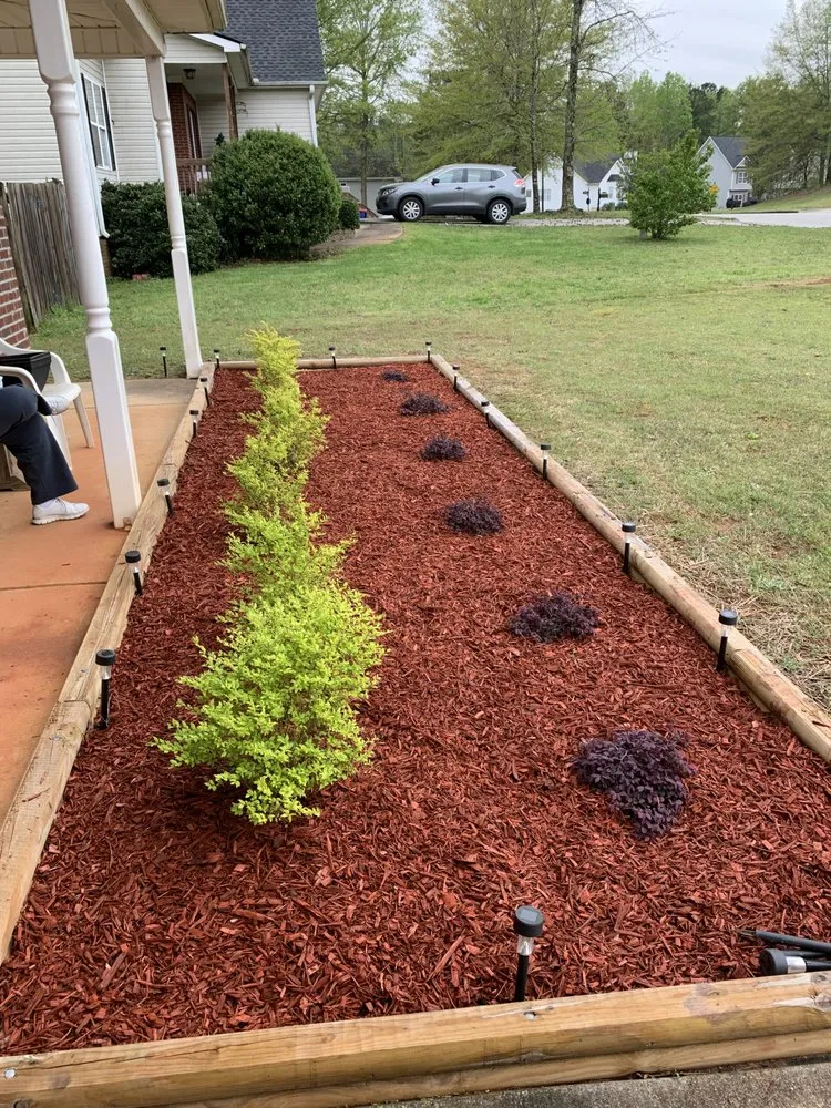 Local lawn care service experts serving Temple, GA - Top Cut Properties