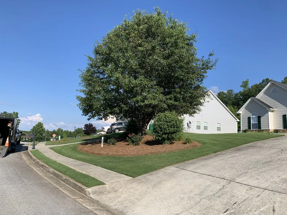 Professional landscaping services experts serving Temple, GA - Top Cut Properties