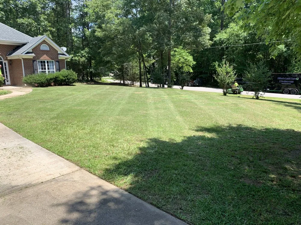 Top-rated outdoor landscaping in Temple, GA - Top Cut Properties