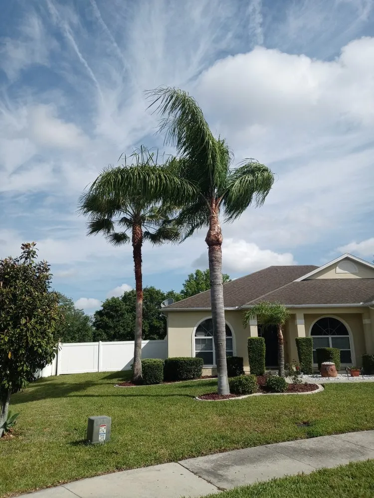 Reliable landscaping services for beautiful yards across Clermont, FL - Top Cut Tree Service