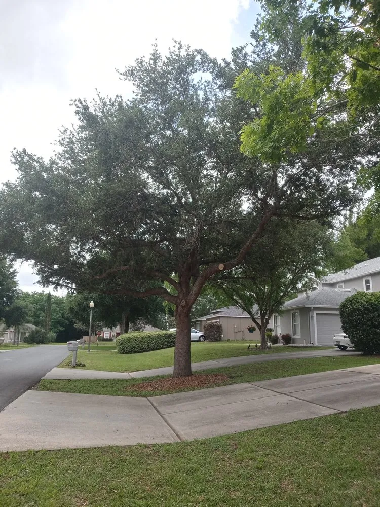 Professional garden landscaping for residential properties in Clermont, FL by Top Cut Tree Service