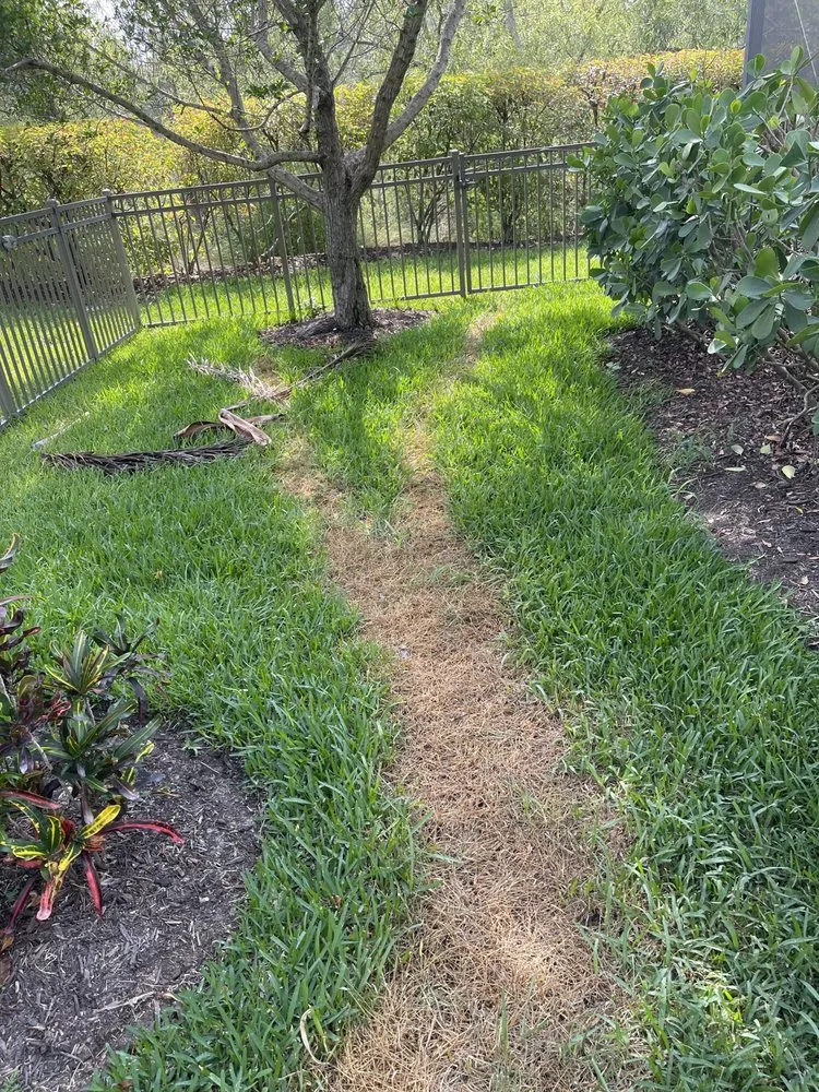 Professional landscape design for beautiful yards across Naples, FL - Top Cut USA