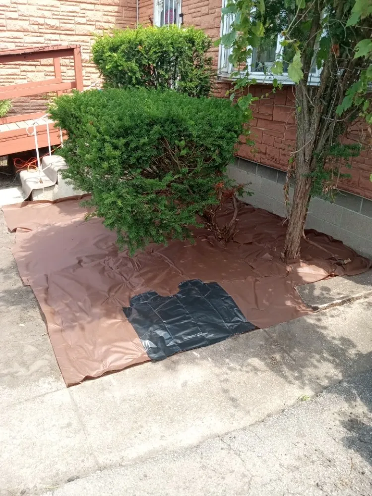 Local landscaping services for beautiful yards across Gary, IN - Top Cuts Landscaping