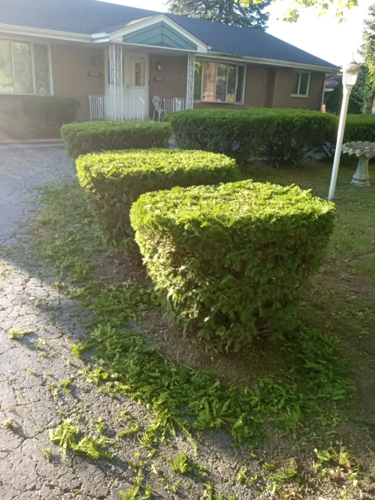 Top-rated lawn care service in Gary, IN by Top Cuts Landscaping