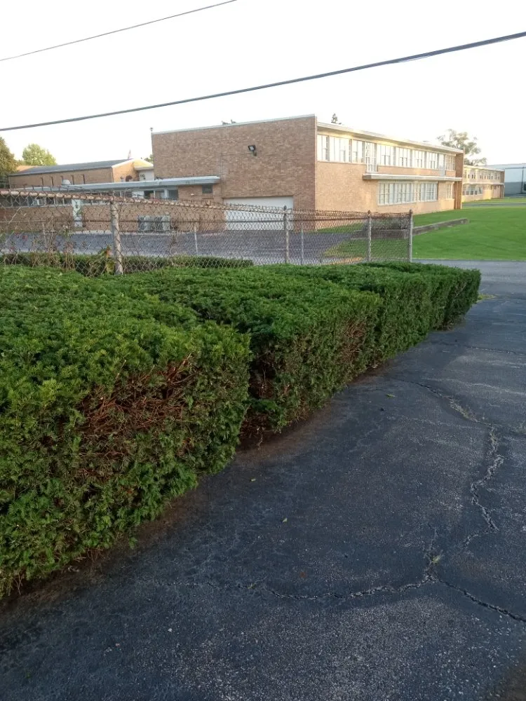 Professional lawn mowing service with custom design in Gary, IN by Top Cuts Landscaping