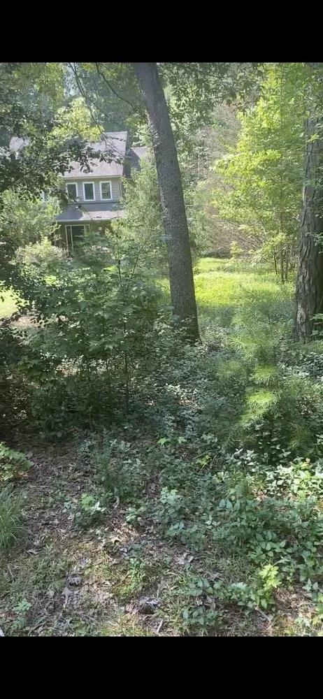 Professional lawn care service experts serving Toano, VA - Top Dawg Exterior