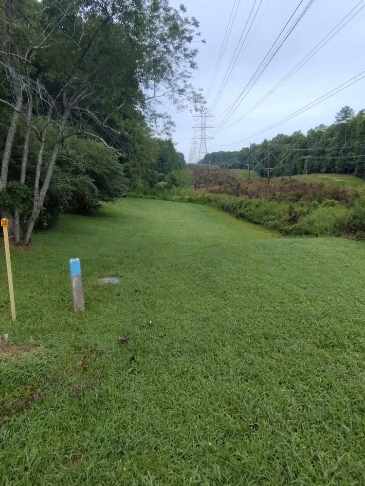 Professional yard maintenance with custom design in Toano, VA by Top Dawg Exterior