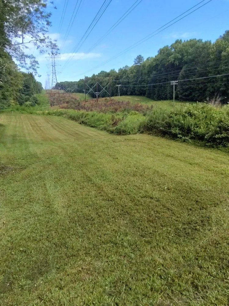 Custom yard cleanup service in Toano, VA - Top Dawg Exterior