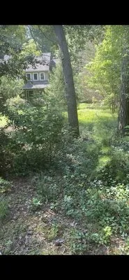 Top Dawg Exterior Logo