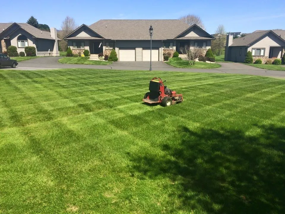 Local garden landscaping experts serving West Jefferson, NC - Top Dawg Landscape Inc