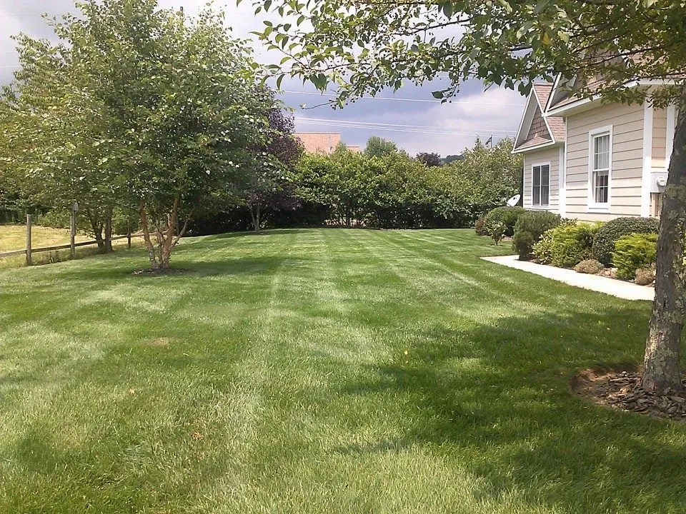 Top-rated lawn mowing service with custom design in West Jefferson, NC by Top Dawg Landscape Inc