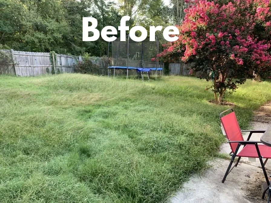 Expert landscape design with custom design in Athens, GA by Top Dawg Landscaping