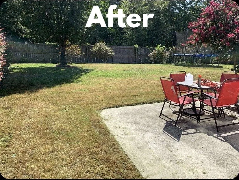 Custom yard cleanup service in Athens, GA - Top Dawg Landscaping