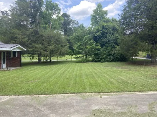 Top Dawg Landscaping Logo