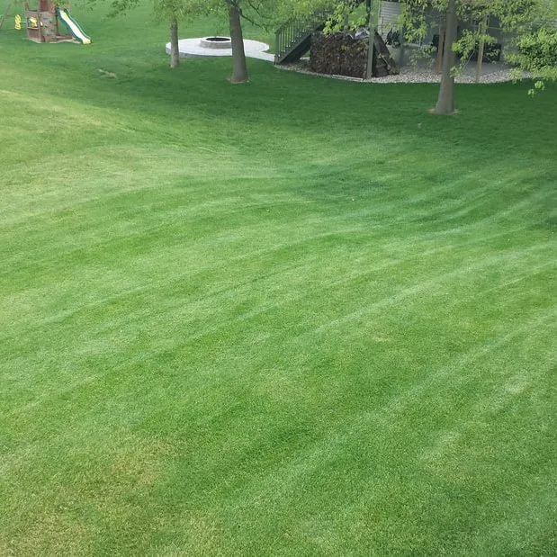 Reliable outdoor landscaping for beautiful yards across Byron Center, MI - Top Dawg Lawn Care & Landscaping