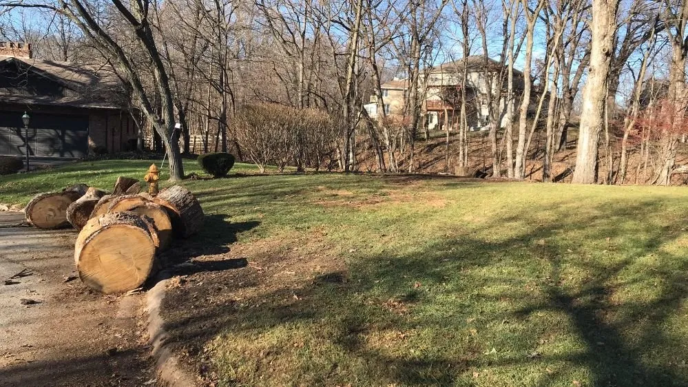 Trusted yard cleanup service experts serving Bourbonnais, IL - Top Dawg Services And Maintenance